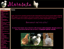 Tablet Screenshot of moroseta.com